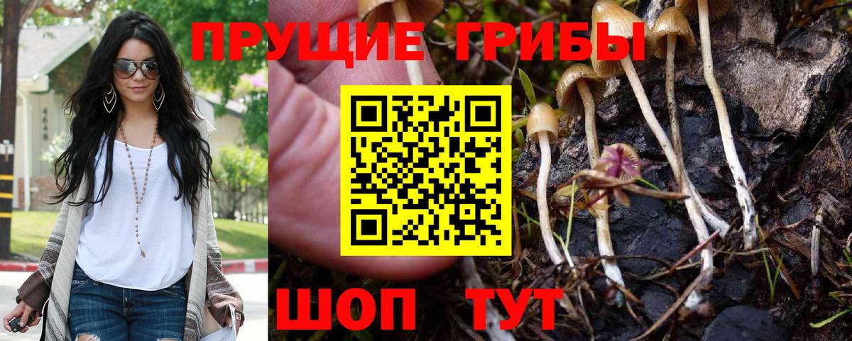 Псилоцибиновые грибы мицелий  Вход с VPN  Галлюциногенные грибы Cubensis  Воткинск 